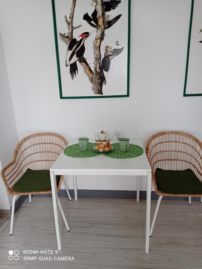 Studio Lesne Lubniewice Dış mekan fotoğraf